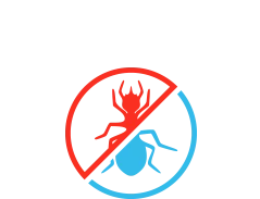 Muret Termites